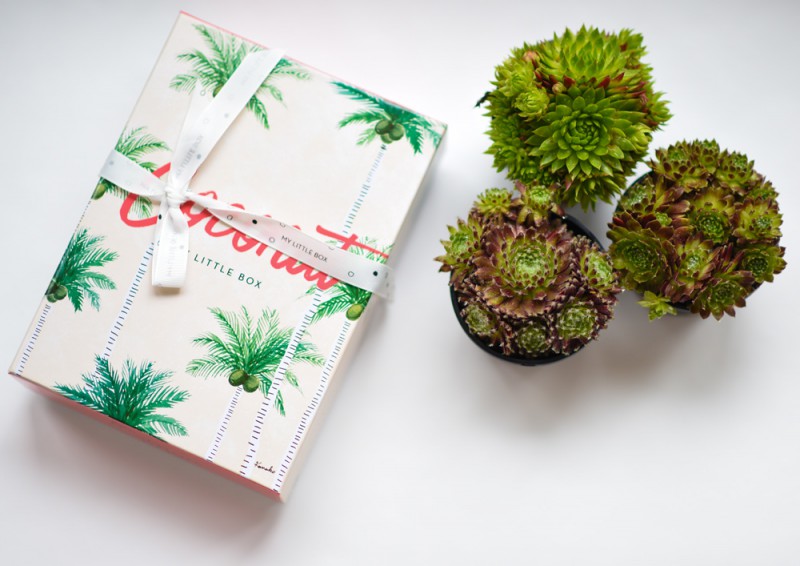 Coconut Box