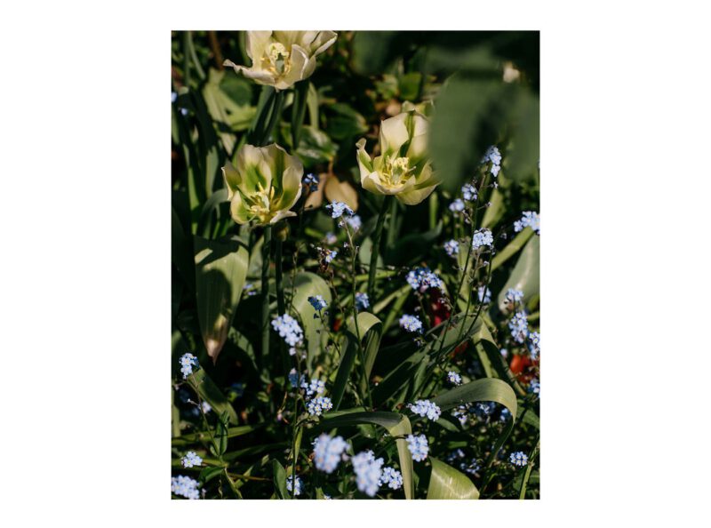Tipps für die Gartengestaltung